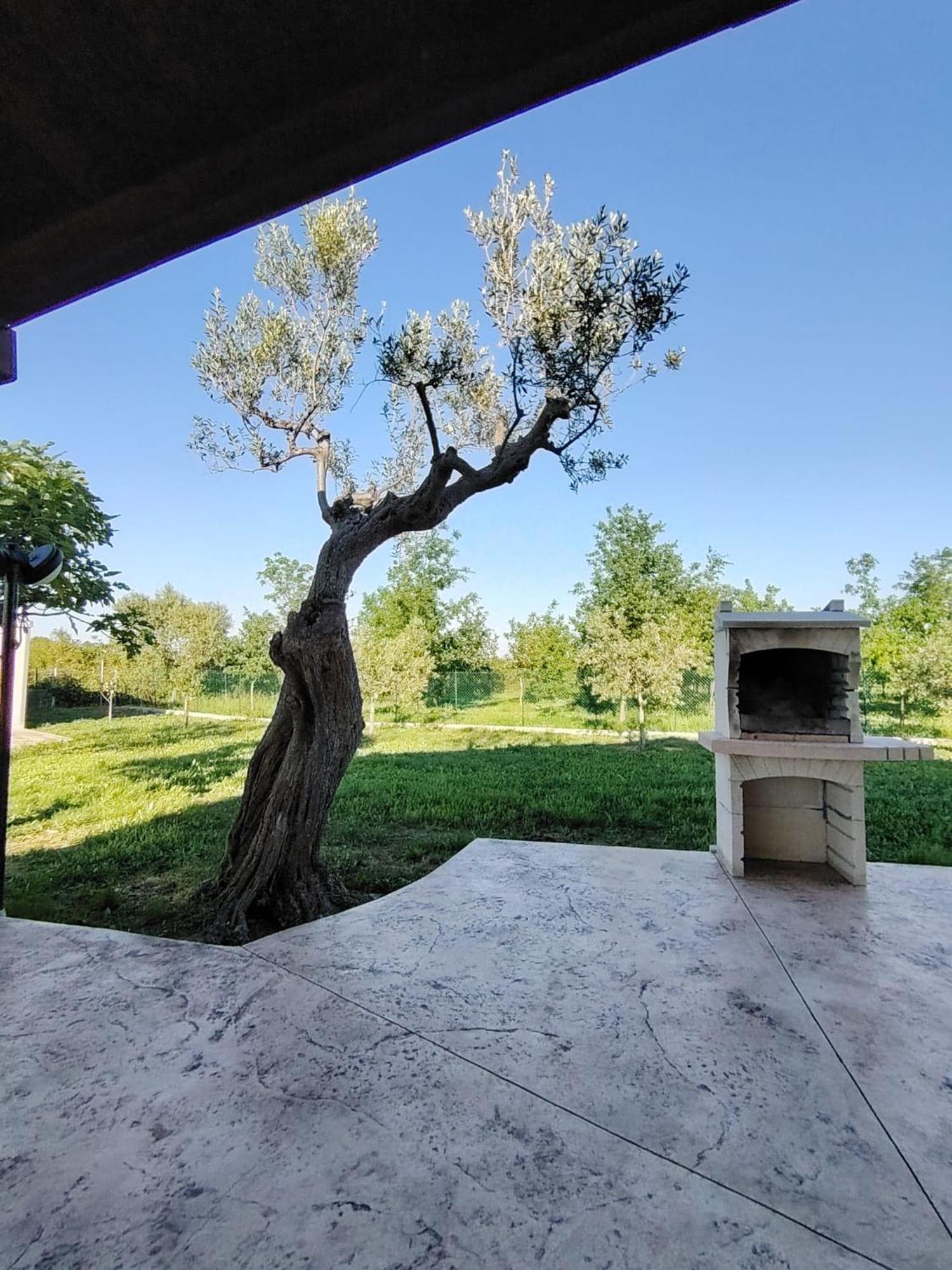 Casale Nel Verde San Vito Chietino Kültér fotó